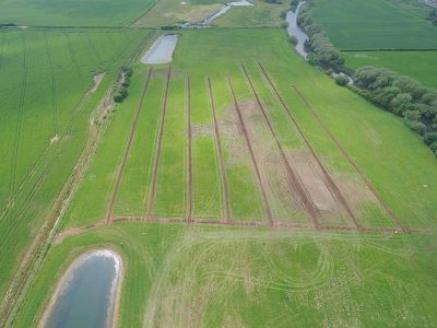 Drainage This Week
